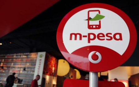 Études de cas sur le succès des campagnes de marketing numérique en RDC